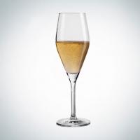 Бокал Schott Zwiesel Audience для шампанского, 250 мл, стекло, Германия